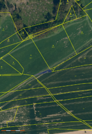 Pozemek parc. č. 198/7 - Prodej pozemku 29662 m², Onšov