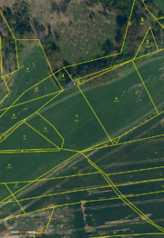 Pozemek parc. č. 239/7 - Prodej pozemku 29662 m², Onšov