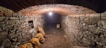 2. sklep - Prodej domu 120 m², Čelechovice na Hané