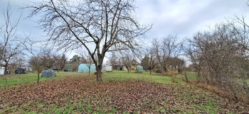 Zahrada - Prodej domu 120 m², Čelechovice na Hané