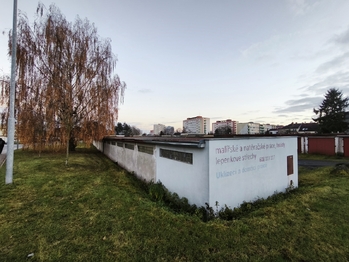 Prodej garáže 19 m², Mladá Boleslav