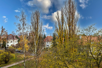 Výhled do zeleně - Pronájem bytu 1+1 v osobním vlastnictví 36 m², Litoměřice