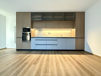 Pronájem bytu 2+kk v osobním vlastnictví 58 m², Plzeň