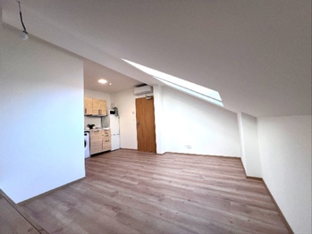 Pronájem bytu 1+kk v osobním vlastnictví 24 m², Praha 2 - Nové Město