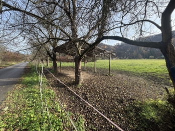 Prodej pozemku 96565 m², Všenory