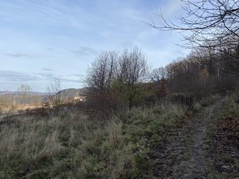 Prodej pozemku 96565 m², Všenory