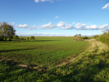 Prodej pozemku 14425 m², Medlice