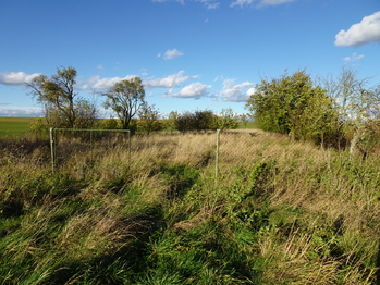 Prodej pozemku 14425 m², Medlice