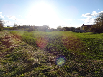 Prodej pozemku 14425 m², Medlice