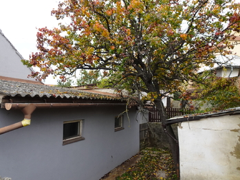 Prodej domu 70 m², Suchohrdly