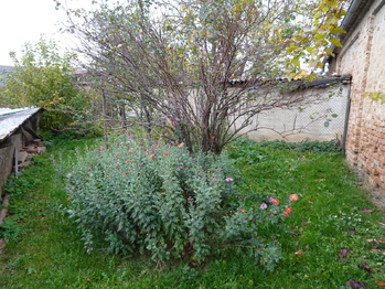 Prodej domu 70 m², Suchohrdly