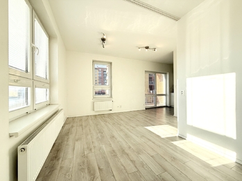 Prodej bytu 1+kk v osobním vlastnictví 42 m², Plzeň