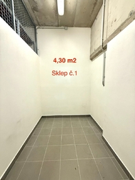 Prodej bytu 1+kk v osobním vlastnictví 42 m², Plzeň