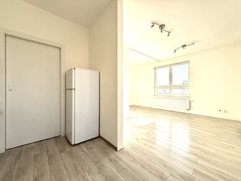 Prodej bytu 1+kk v osobním vlastnictví 42 m², Plzeň