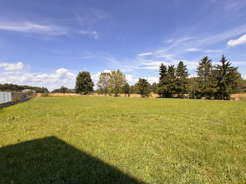 Prodej pozemku 4179 m², Sedlnice