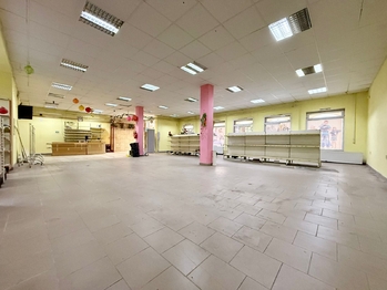 Prodej obchodních prostor 467 m², Bílina