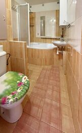 Pronájem bytu 3+kk v osobním vlastnictví 61 m², České Budějovice