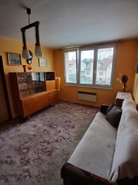 Prodej bytu 2+1 v družstevním vlastnictví 47 m², Kamenice nad Lipou