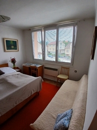 Prodej bytu 2+1 v družstevním vlastnictví 47 m², Kamenice nad Lipou