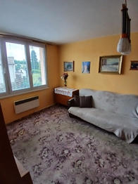 Prodej bytu 2+1 v družstevním vlastnictví 47 m², Kamenice nad Lipou