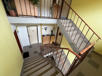 Prodej bytu 2+1 v družstevním vlastnictví 47 m², Kamenice nad Lipou