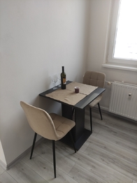 Pronájem bytu 2+kk v osobním vlastnictví 47 m², Břeclav