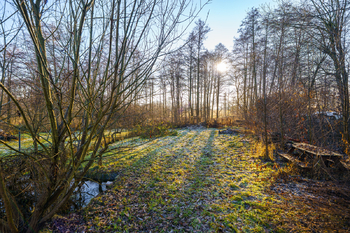 Prodej pozemku 897 m², Liberec