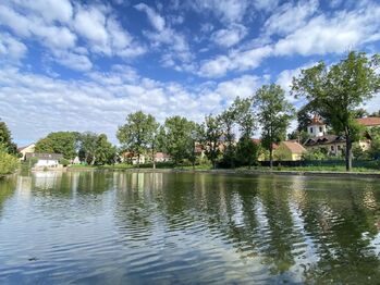 Prodej bytu 1+kk v osobním vlastnictví 30 m², Kounov