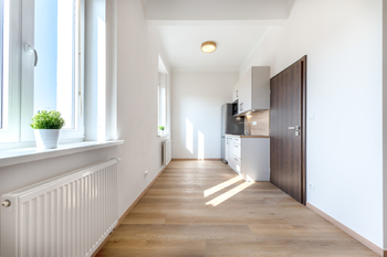 Pronájem bytu 1+kk v osobním vlastnictví 27 m², Praha 8 - Libeň