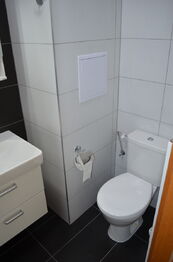 Pronájem bytu 1+kk v osobním vlastnictví 34 m², Praha 8 - Troja