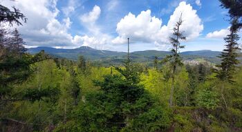 Prodej bytu 1+kk v osobním vlastnictví 19 m², Železná Ruda