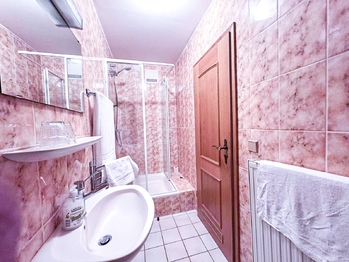 Prodej bytu 1+kk v osobním vlastnictví 19 m², Železná Ruda