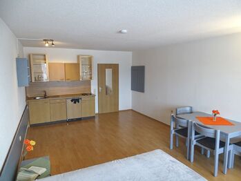 Prodej bytu 1+kk v osobním vlastnictví 38 m², Strážný