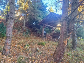 posezení s krbem - Prodej chaty / chalupy 50 m², Hradce