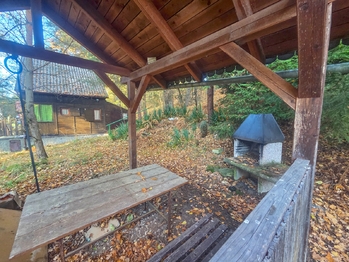 pozezení s krbem - Prodej chaty / chalupy 50 m², Hradce