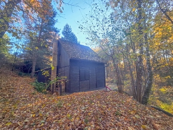 chata - Prodej chaty / chalupy 50 m², Hradce