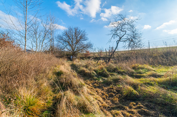 Prodej chaty / chalupy 35 m², Plzeň