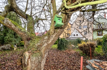 zahrada k bytu - Prodej bytu 1+1 v osobním vlastnictví 48 m², Přestanov