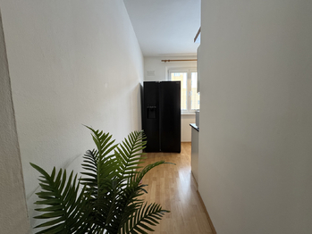 Pronájem bytu 2+1 v družstevním vlastnictví 59 m², Prostějov