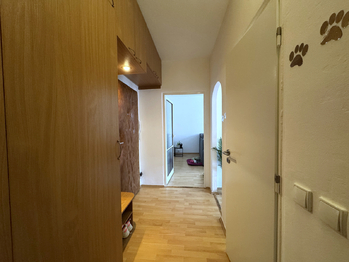 Pronájem bytu 2+1 v družstevním vlastnictví 59 m², Prostějov