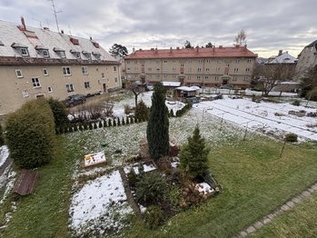 pohled na společnou zahradu - Pronájem bytu 4+kk v osobním vlastnictví 85 m², Šumperk