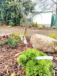 Prodej bytu 3+kk v osobním vlastnictví 112 m², Praha 10 - Dolní Měcholupy