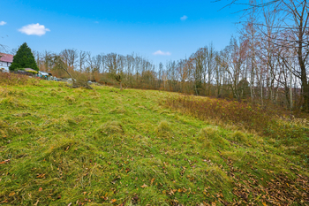 Prodej pozemku 5312 m², Jílové