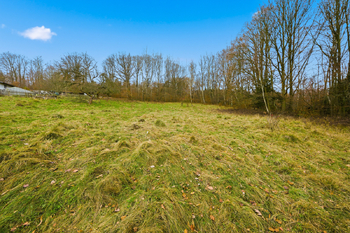 Prodej pozemku 5312 m², Jílové