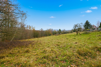 Prodej pozemku 5312 m², Jílové