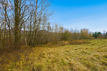 Prodej pozemku 5312 m², Jílové