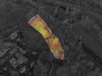 Prodej pozemku 5312 m², Jílové