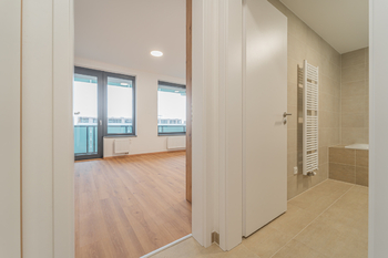 Pronájem bytu 1+kk v osobním vlastnictví 39 m², Praha 3 - Žižkov