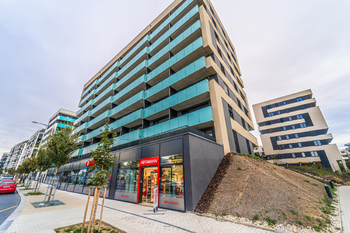 Pronájem bytu 1+kk v osobním vlastnictví 39 m², Praha 3 - Žižkov