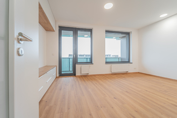 Pronájem bytu 1+kk v osobním vlastnictví 39 m², Praha 3 - Žižkov